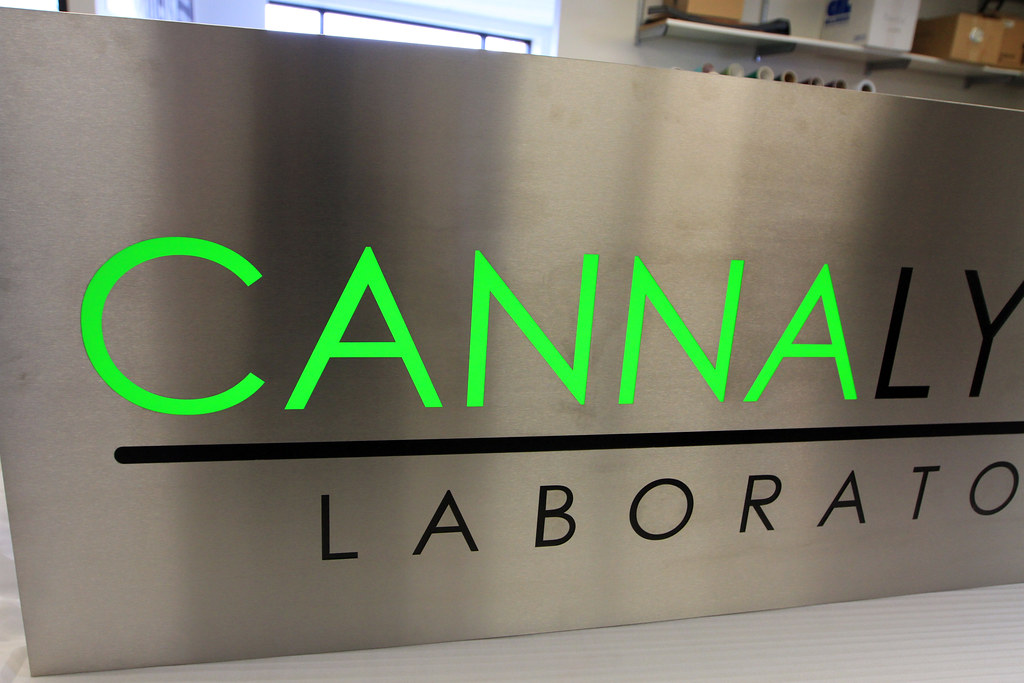 Fabricated panel sign with cut out accent lighted letters