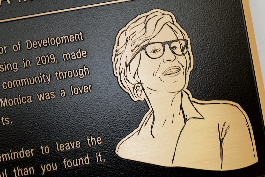 Flat relief line art image on bronze plaque