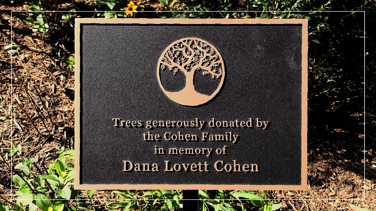 An example of a tree memorial plaque.
