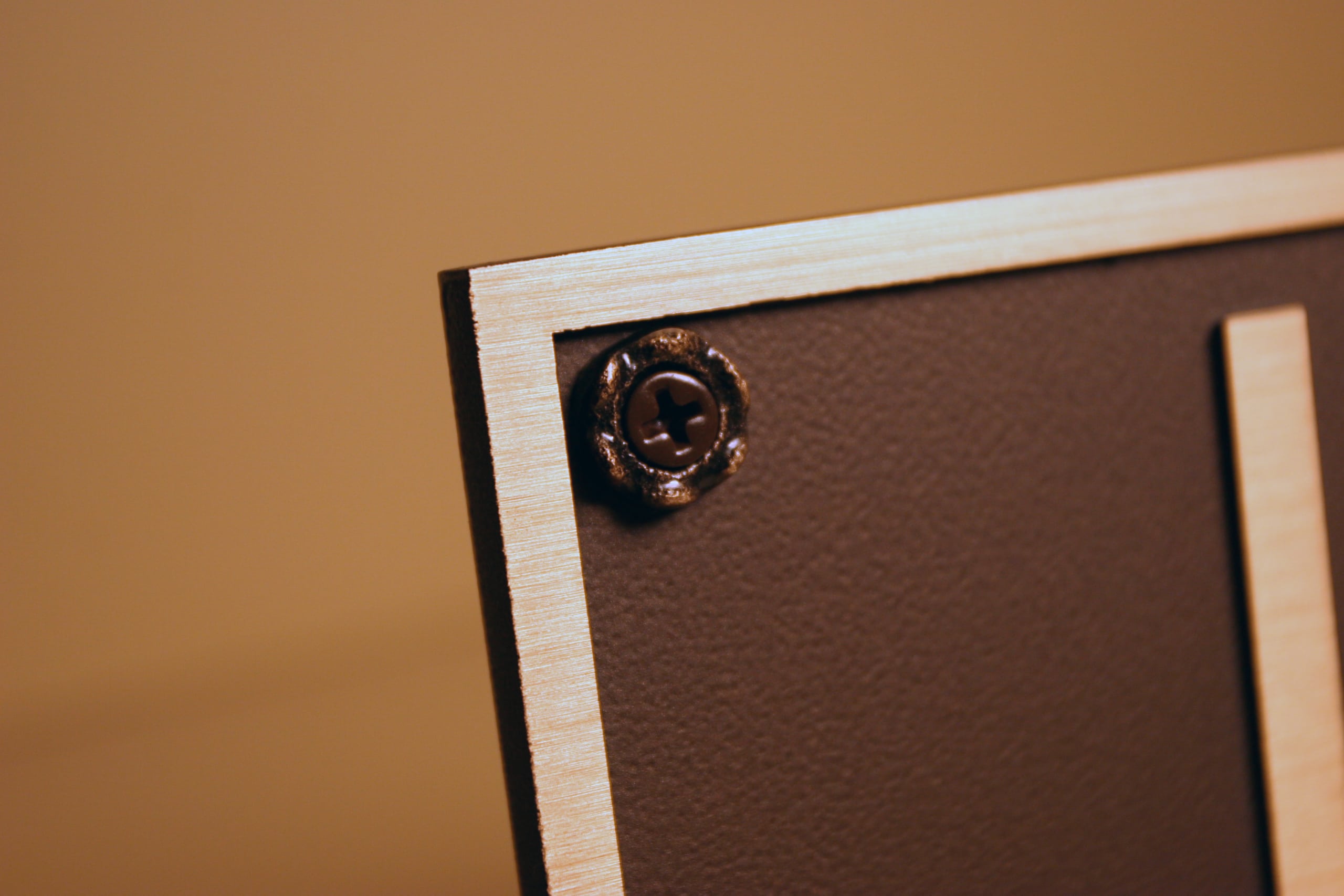 Rosette screw detail for solid wall mount