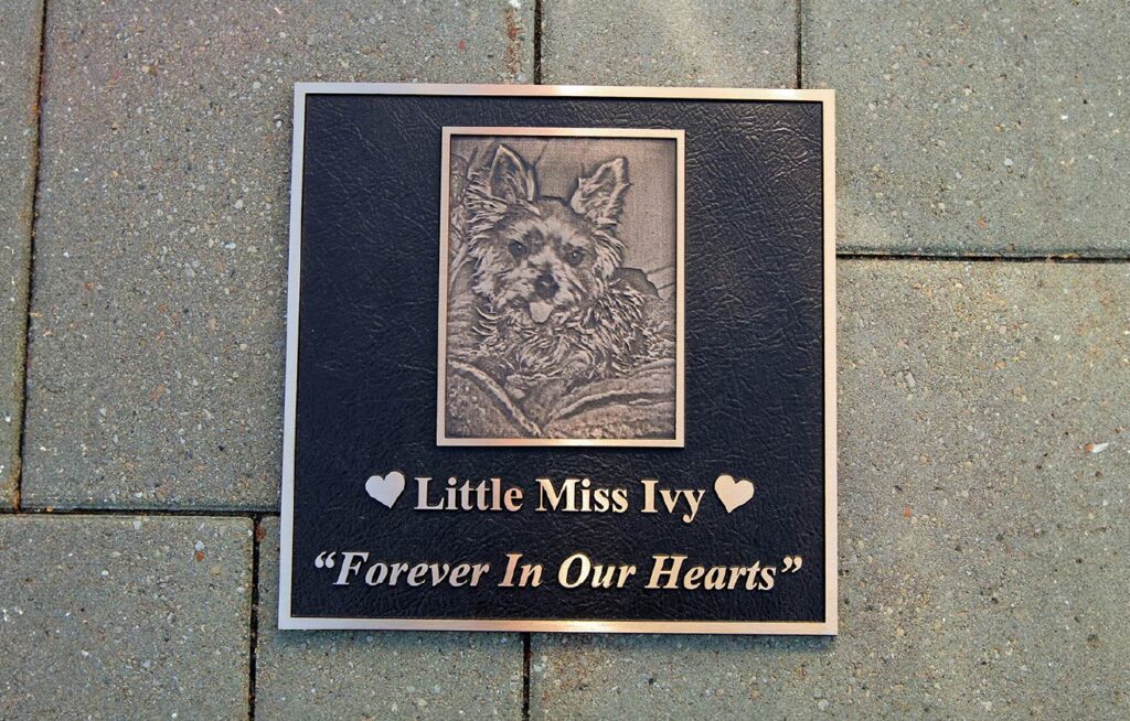 Ways To Memorialize Pet