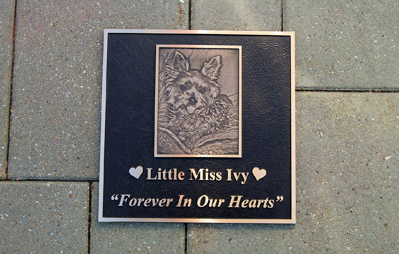 Ways To Memorialize Pet